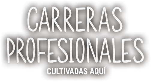 carreras profesionales